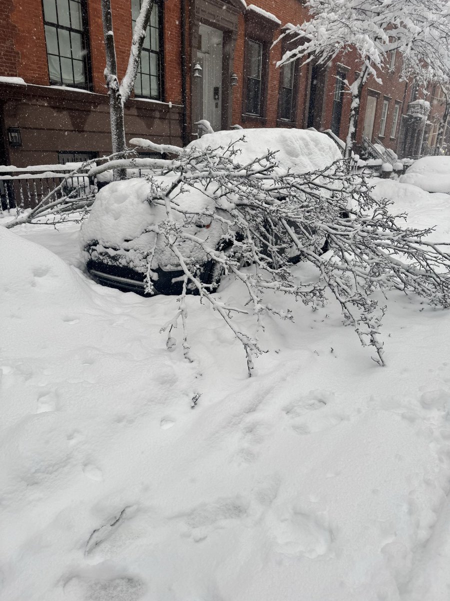 Alfie Steiner tweet media