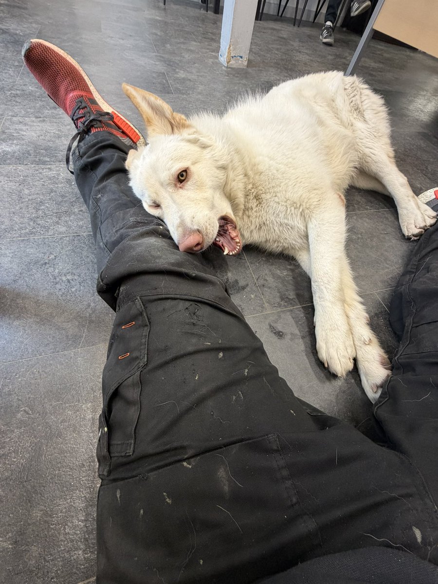 phil-kudos tweet media