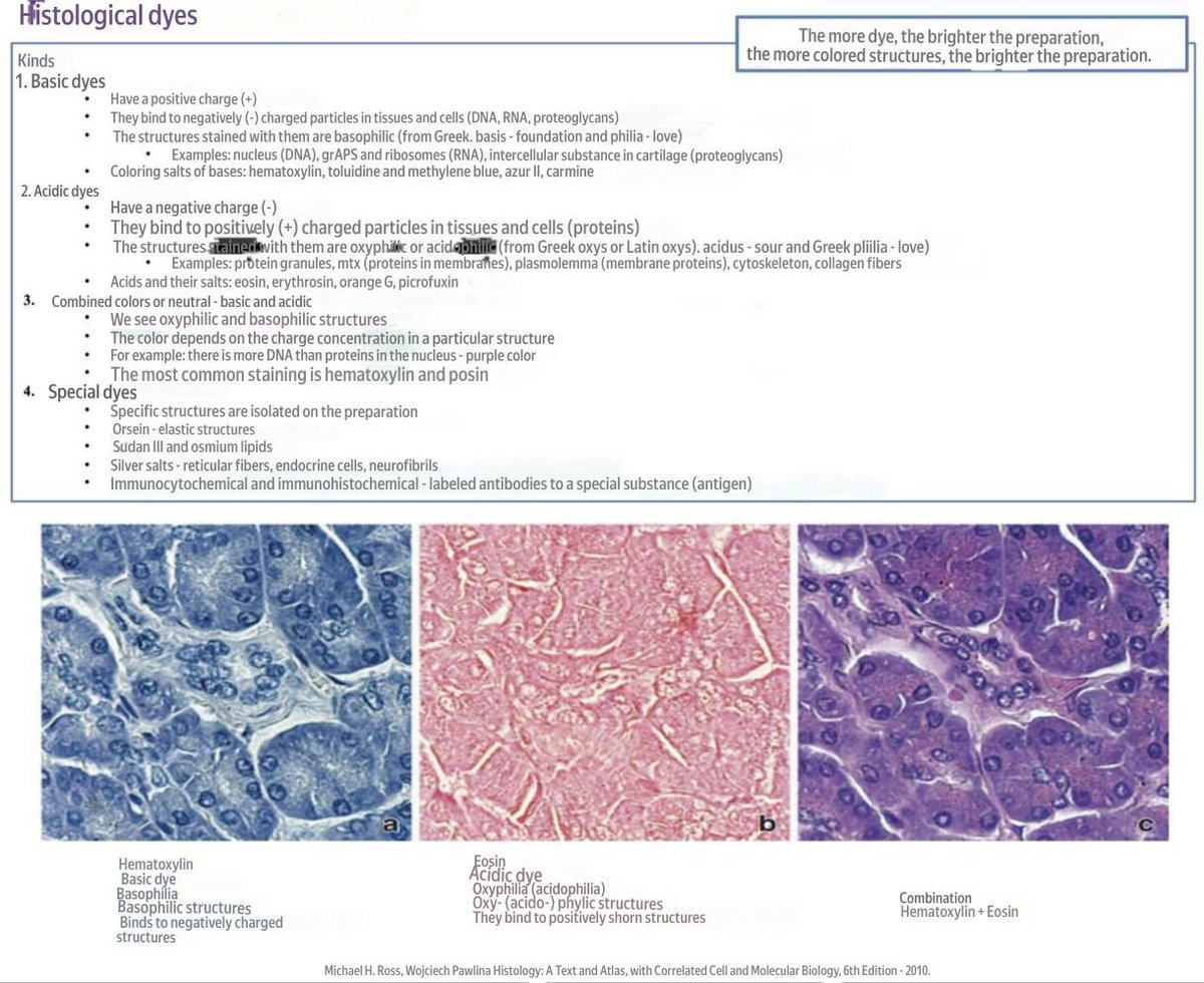 a_hangru's tweet photo. Dyes in histology. This post presents tables with dyes in histology, which make it easy to start understanding the coloring of various structures.
#Histology #Microscopy #Pathology #MedicalEducation #MedStudent #ScienceArt #HistologySlides #MedicalSchool #sciencebows #Medicines https://t.co/sgBat3fKW8