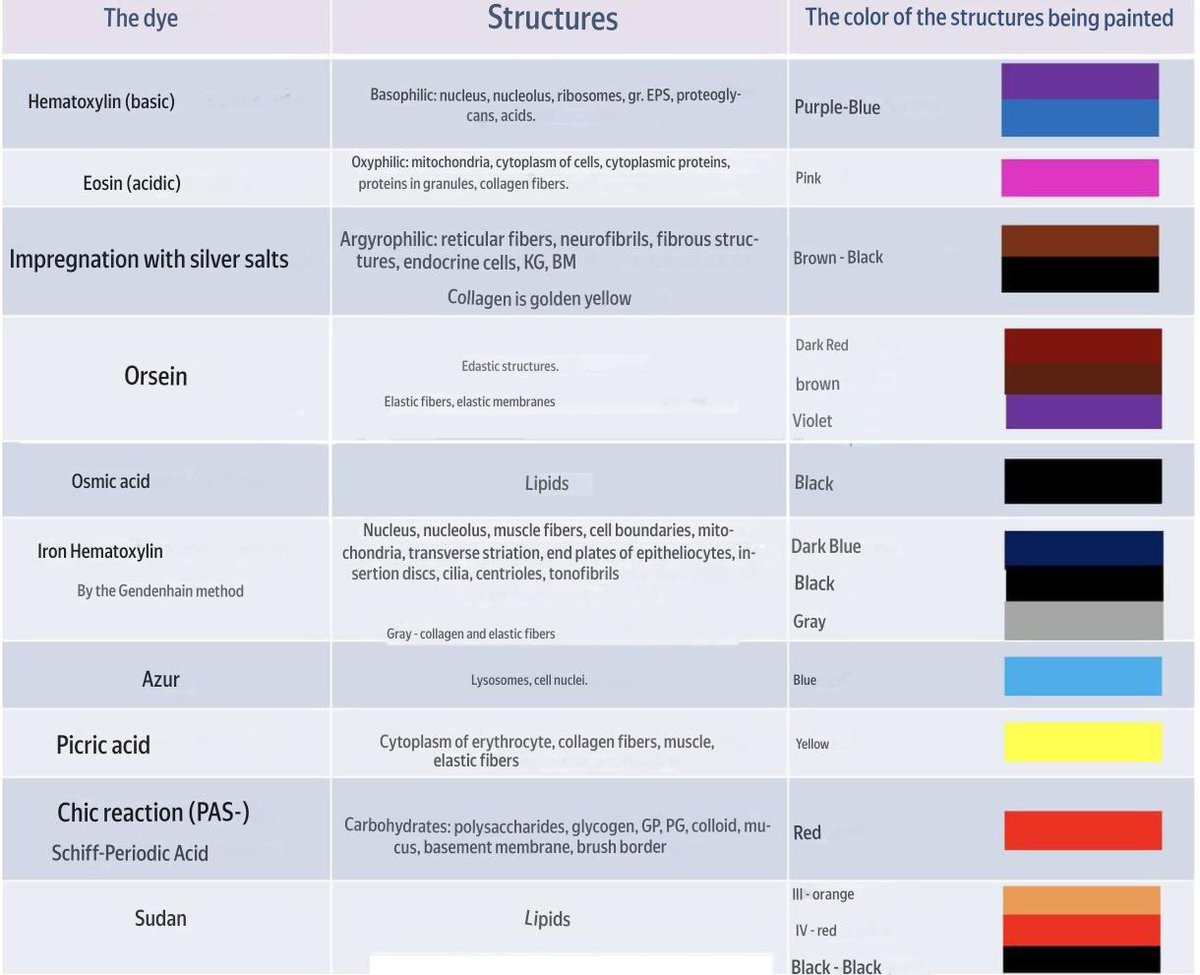 a_hangru's tweet photo. Dyes in histology. This post presents tables with dyes in histology, which make it easy to start understanding the coloring of various structures.
#Histology #Microscopy #Pathology #MedicalEducation #MedStudent #ScienceArt #HistologySlides #MedicalSchool #sciencebows #Medicines https://t.co/sgBat3fKW8