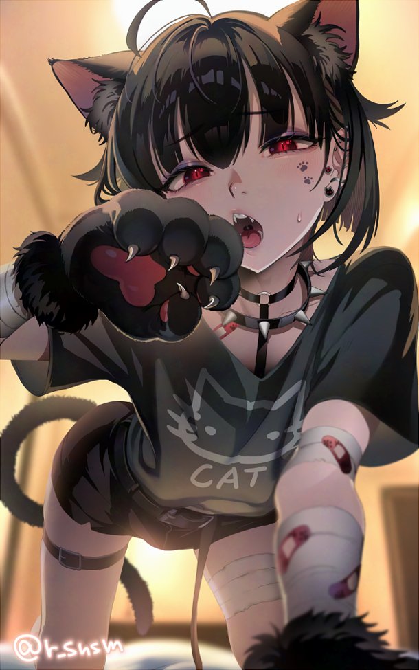 うさ吉 (@usakichi2017) / Posts / X