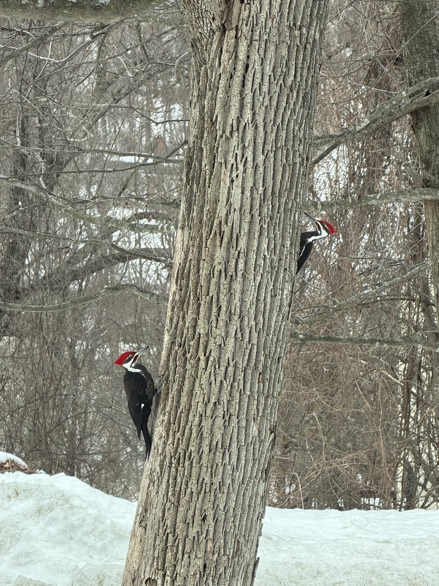 Cyber Sadness tweet media