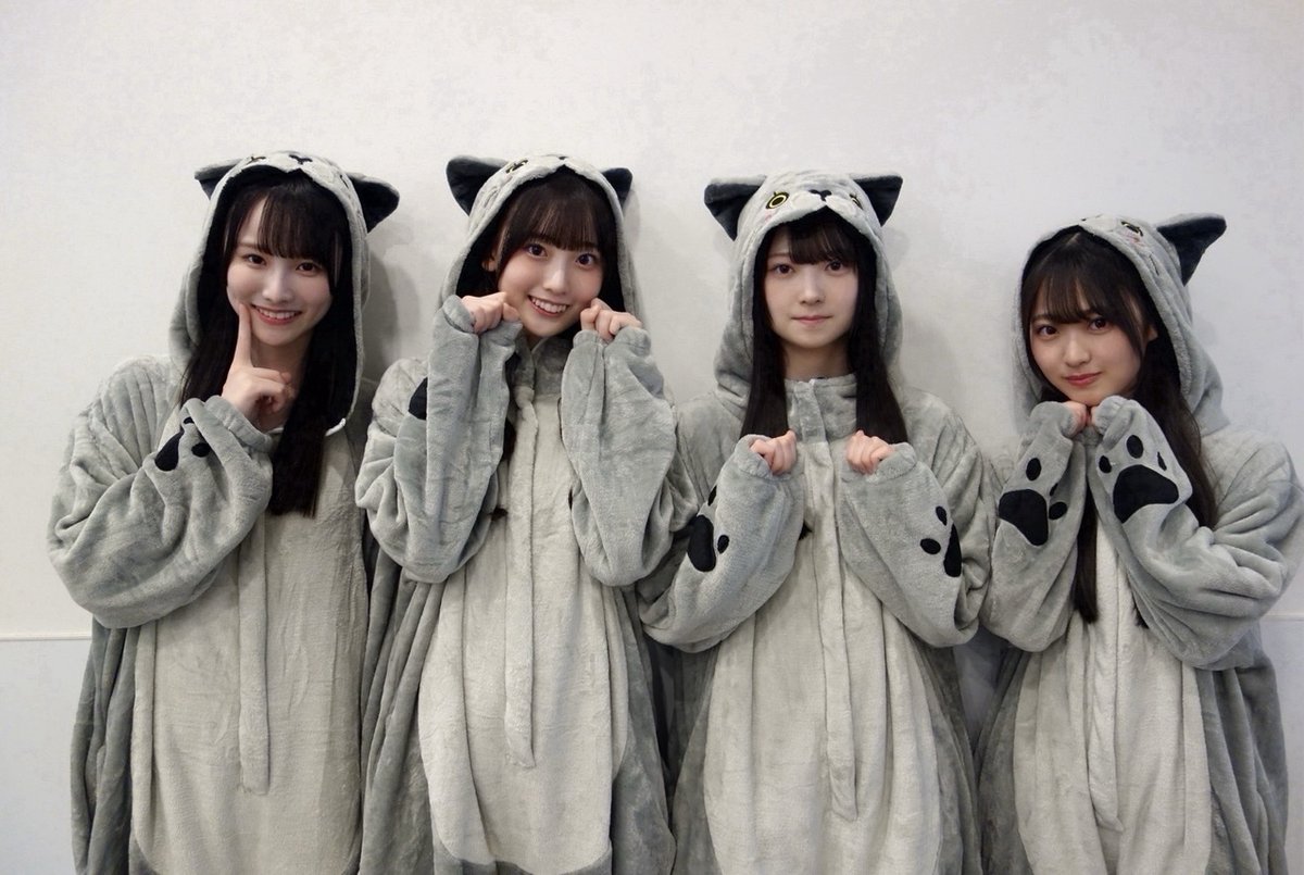 みーちゃんかわいいにゃん