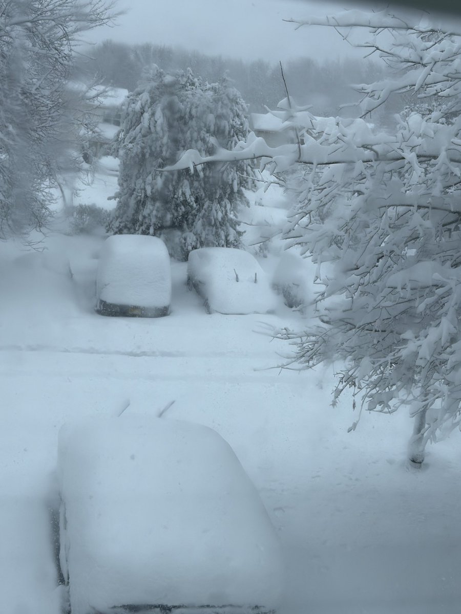 ladyrodz1's tweet photo. @MikeFOX29 beautiful Mount Laurel, NJ https://t.co/FXiLOgiaaC