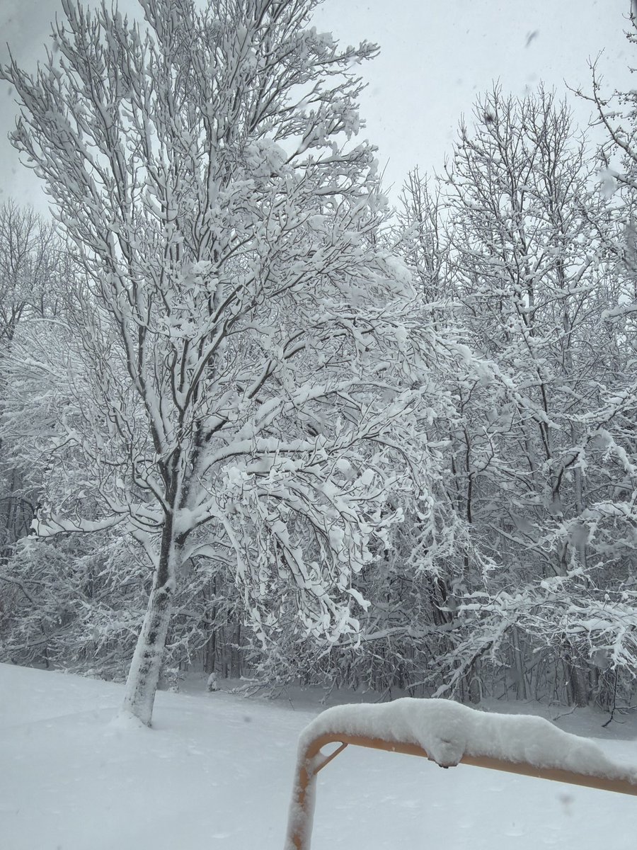 ladyrodz1's tweet photo. @MikeFOX29 beautiful Mount Laurel, NJ https://t.co/FXiLOgiaaC