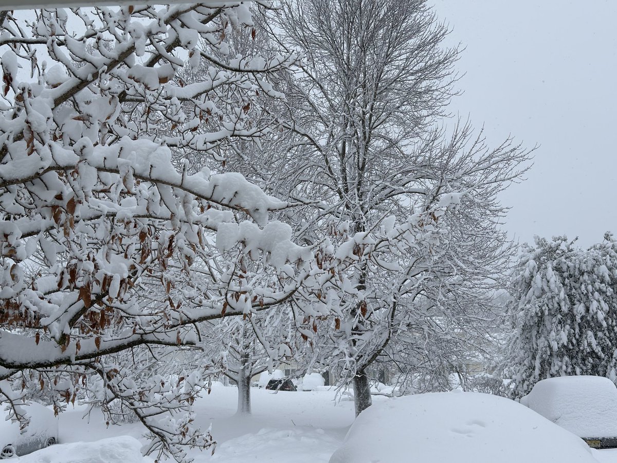ladyrodz1's tweet photo. @MikeFOX29 beautiful Mount Laurel, NJ https://t.co/FXiLOgiaaC