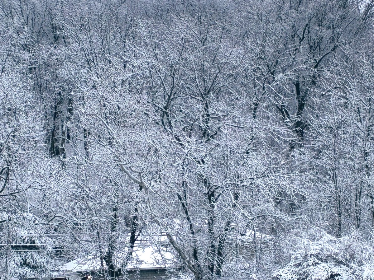 kevinfitz1's tweet image. #snowday in #BerksCounty #pawx #photos