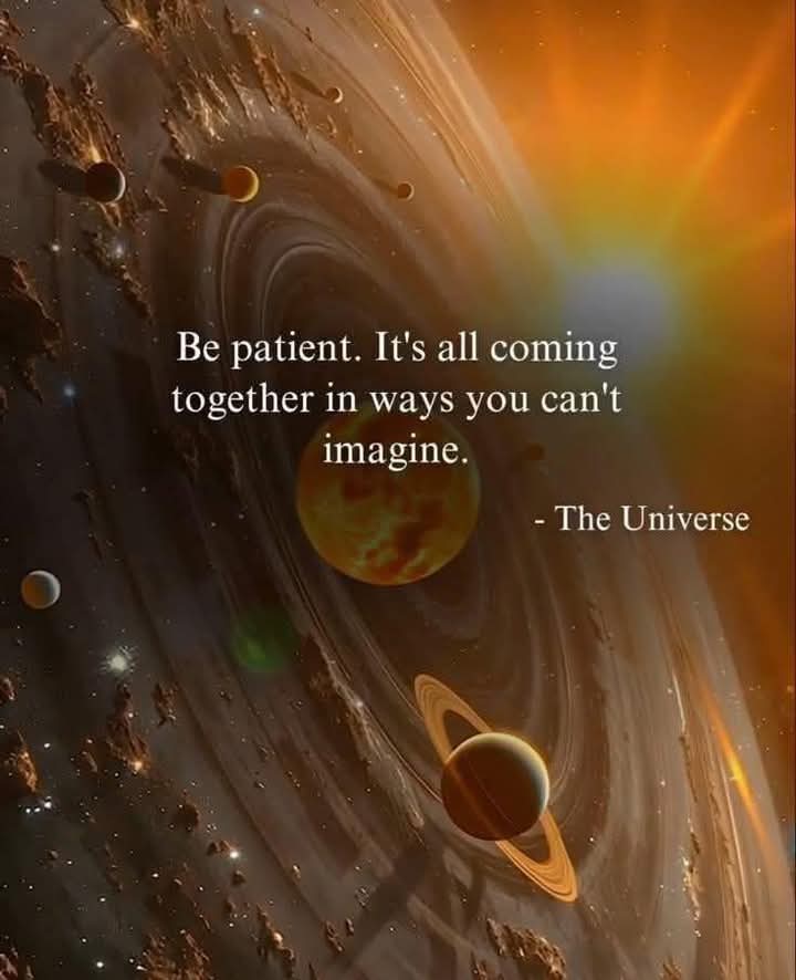 Manifest Your Dream Life✨ tweet media