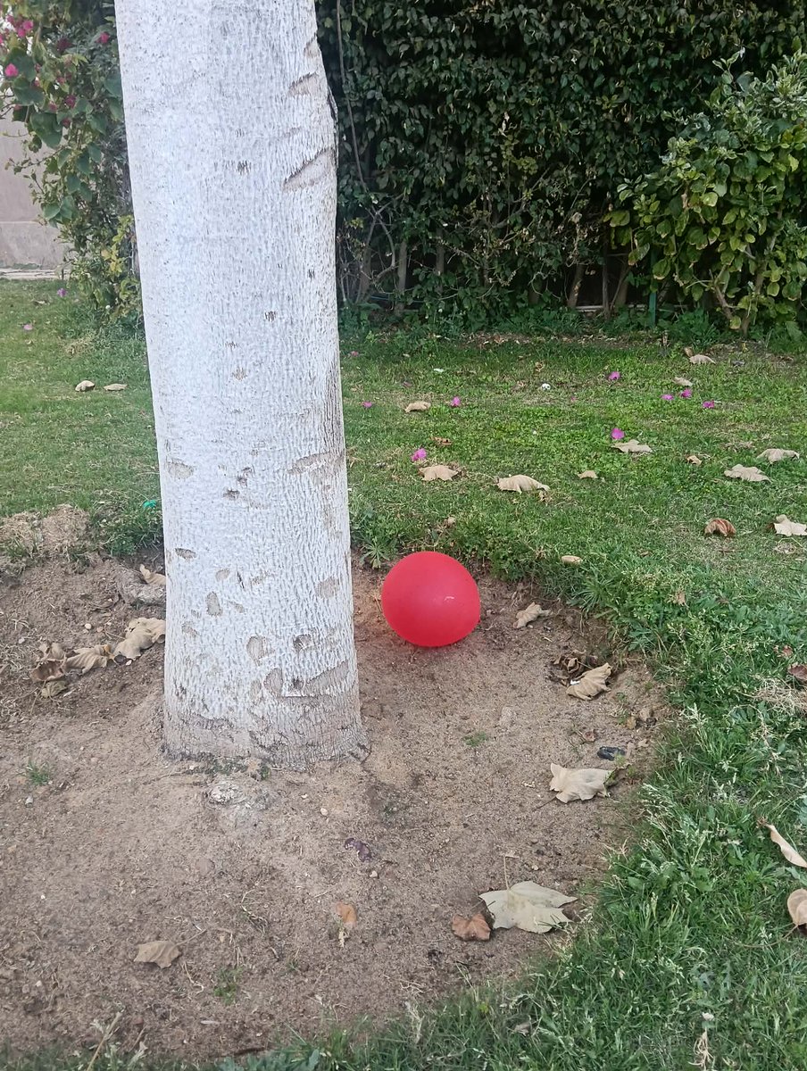 Hisham Fahmy tweet media