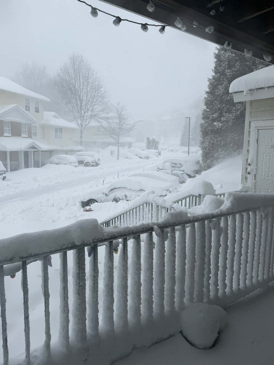 Scoot ➡️ FWA tweet media