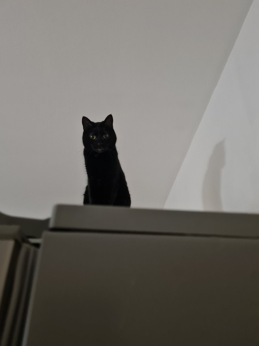 Pardon mais... ✨️mes enfants✨️