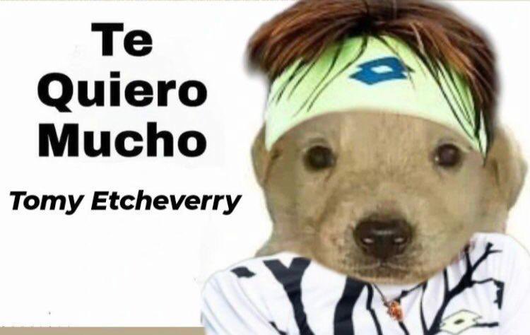 El Último Seis tweet media