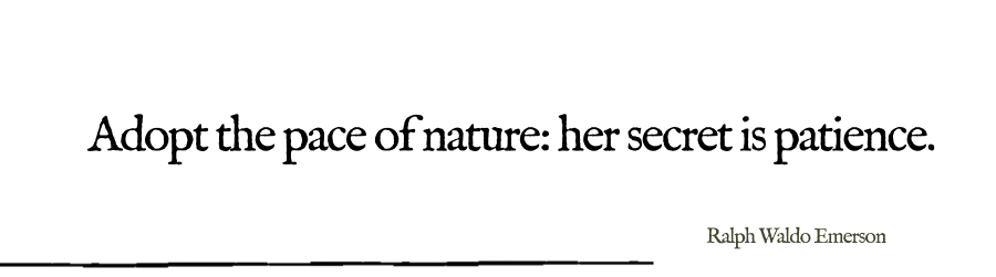 Tanmay Singh Chauhan tweet media