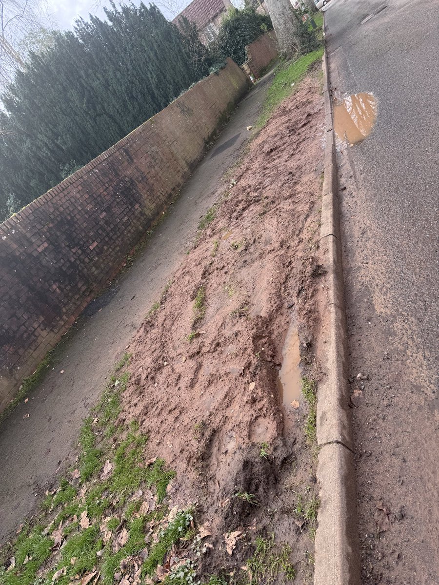 Lucinda Francis tweet media