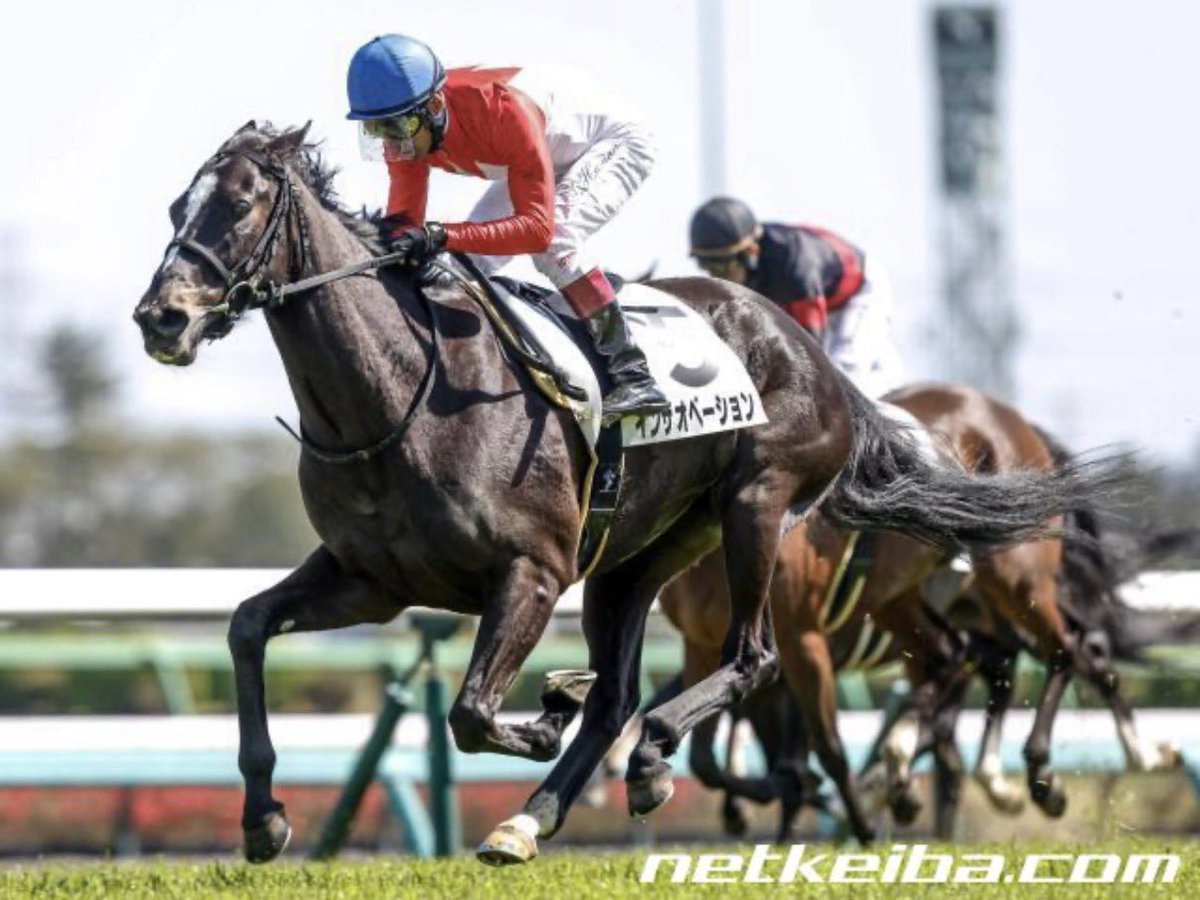 フィールドレーシング tweet media