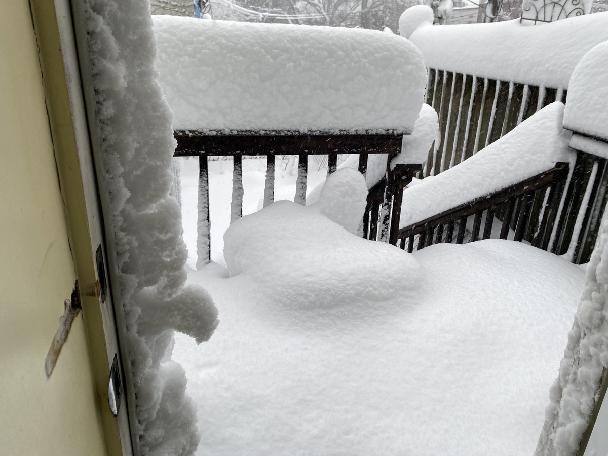 Farran Nehme tweet media