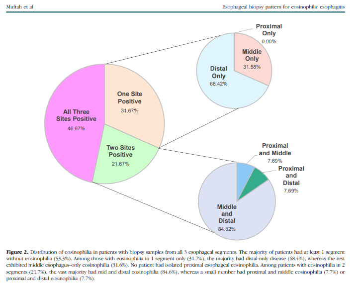 GI Pearls tweet media
