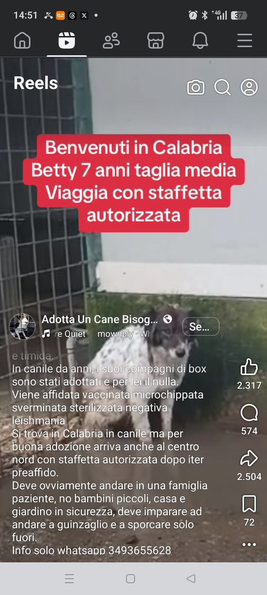 CALABRIA: BETTY ARRIVA OVUNQUE CON STAFFETTA
3493655628 . Sta con le zampette nell'acqua!!!