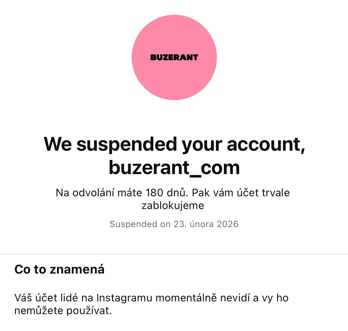 buzerant_com tweet media