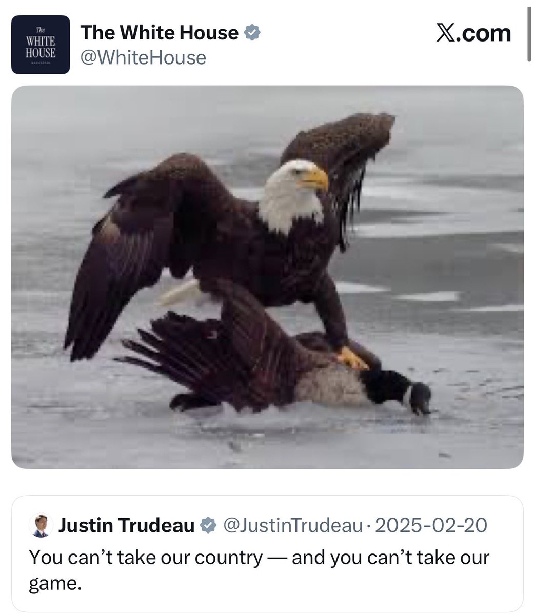 dalisay mt tweet media