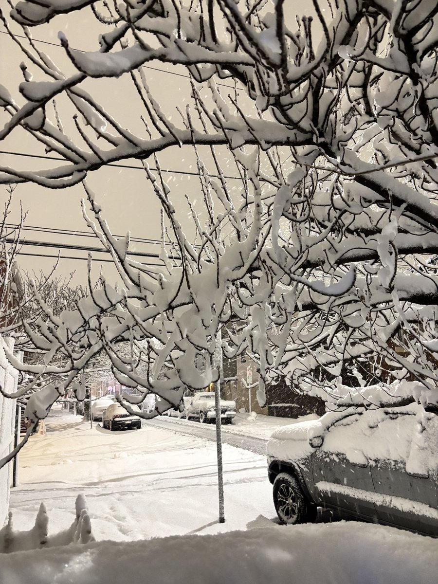 LolaFromPhilly's tweet photo. From Old Kensington this photo
Was taken at 12:15 am from my front door  @MikeFOX29 @AlexHolleyFOX29 https://t.co/yIb3JBb6pN