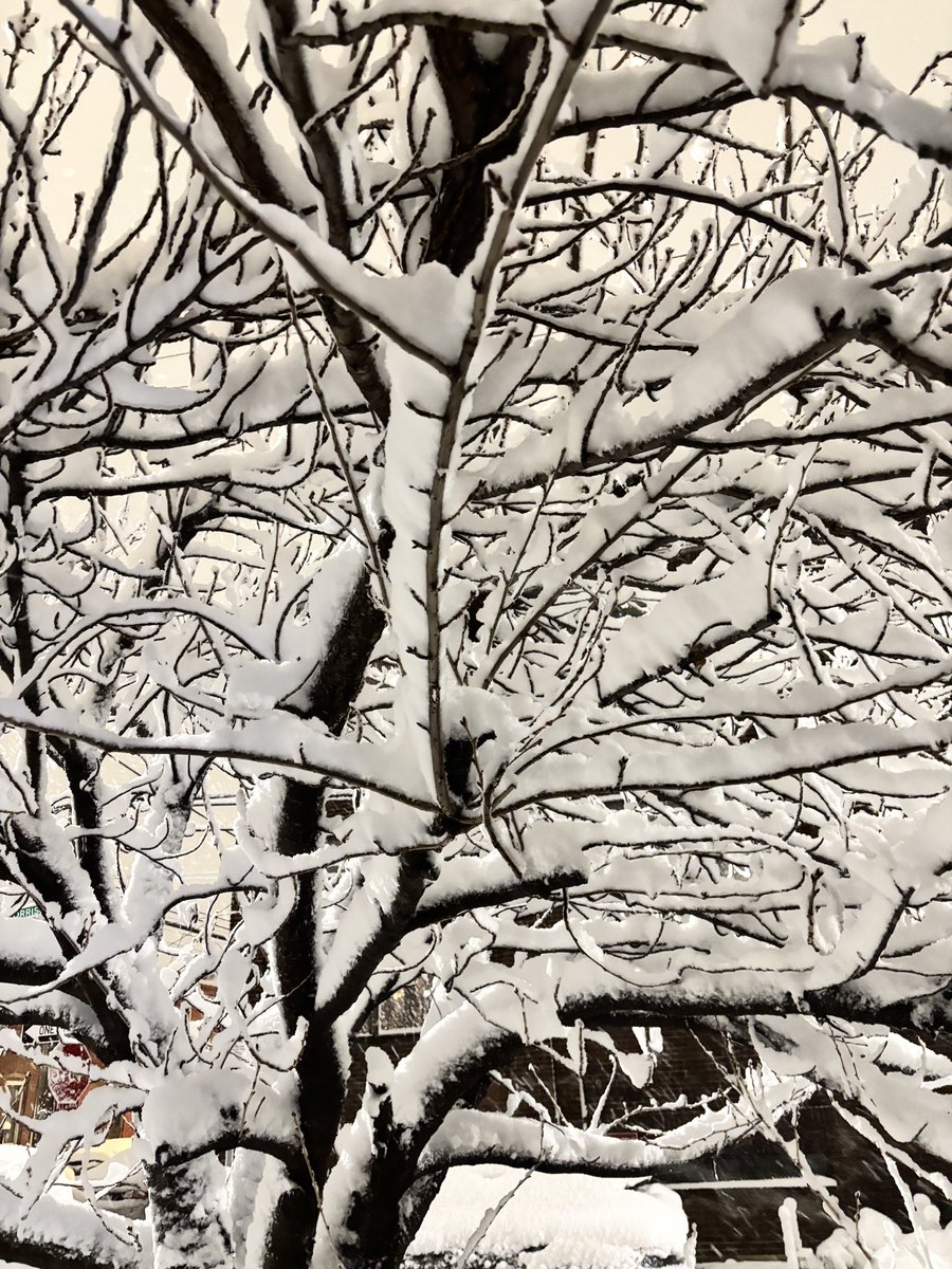 LolaFromPhilly's tweet photo. From Old Kensington this photo
Was taken at 12:15 am from my front door  @MikeFOX29 @AlexHolleyFOX29 https://t.co/yIb3JBb6pN