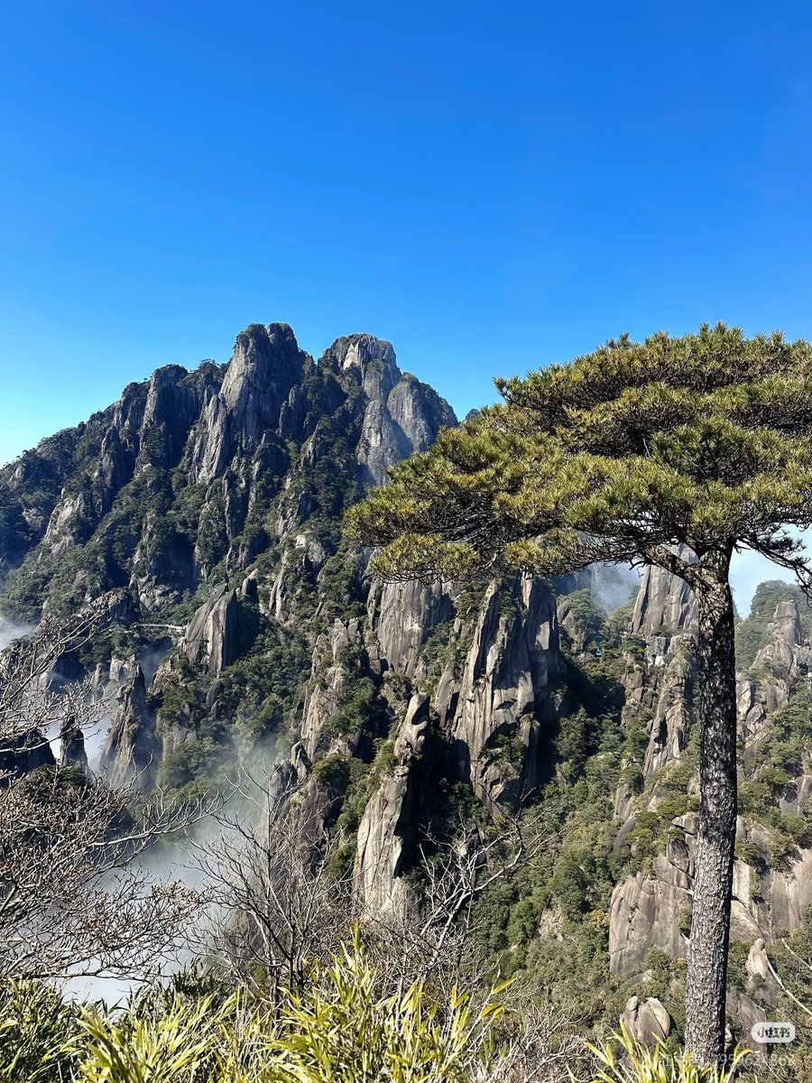 jiangme69268455's tweet photo. 中式美学•三清山 https://t.co/7xoZ0nrtnk