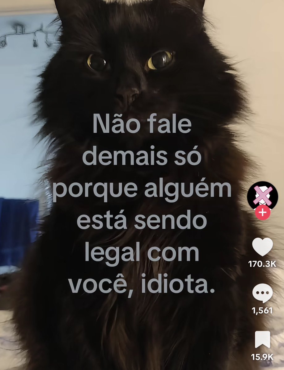 Tiktok fora de contexto (@ttksemcontexto) on Twitter photo 