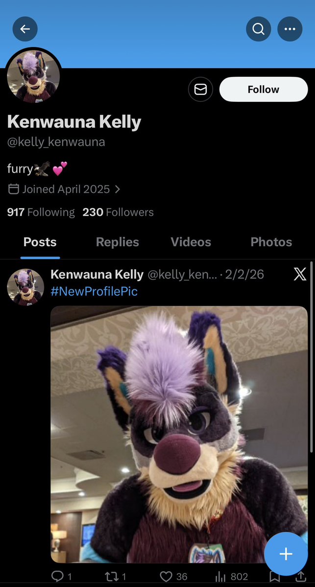 Kizma Husky tweet media