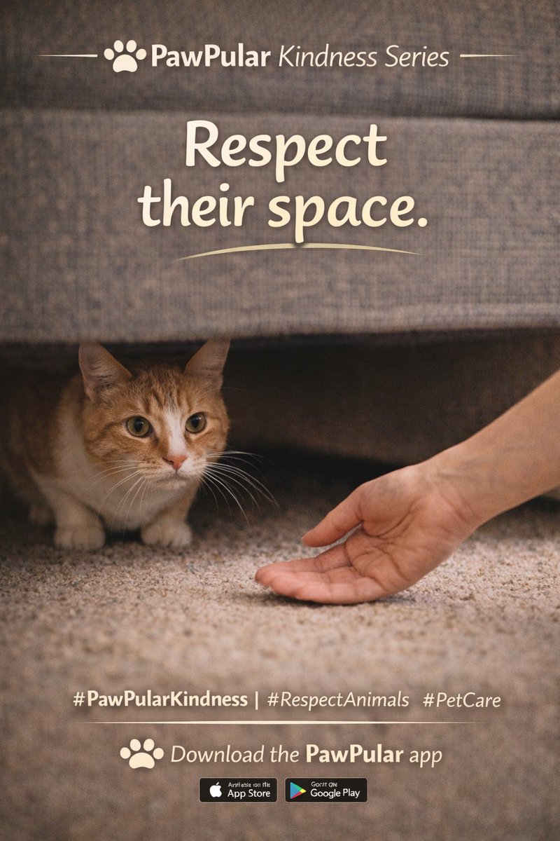 🐾 PawPular Kindness Series — Respect Their Space

🐾 Respect their space.
Animals communicate through body language — if they’re scared, overwhelmed, or anxious… give them room and patience.
Trust is earned, not forced. 🐕🐈

📲 Join the kindness movement — download the