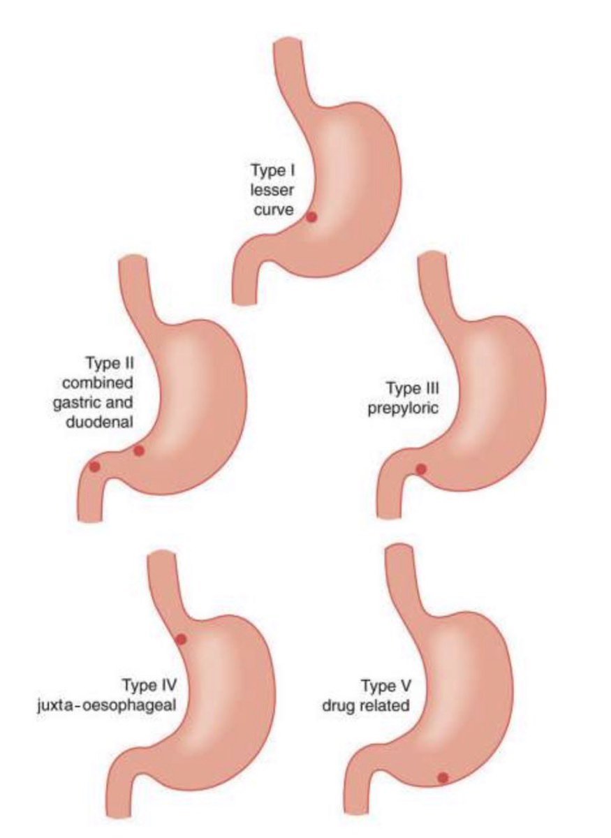 Dr. Mateo Avila tweet media
