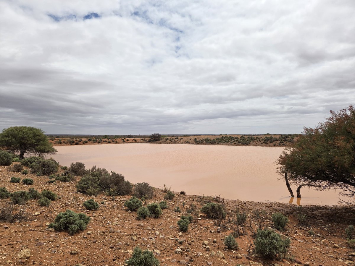 Scott Michael tweet media