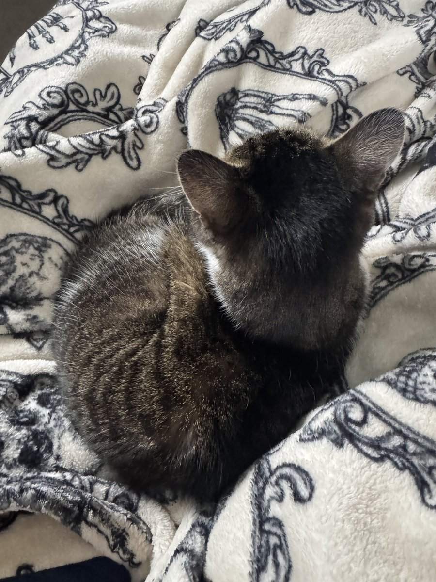 Espie 🕷️🥀 tweet media