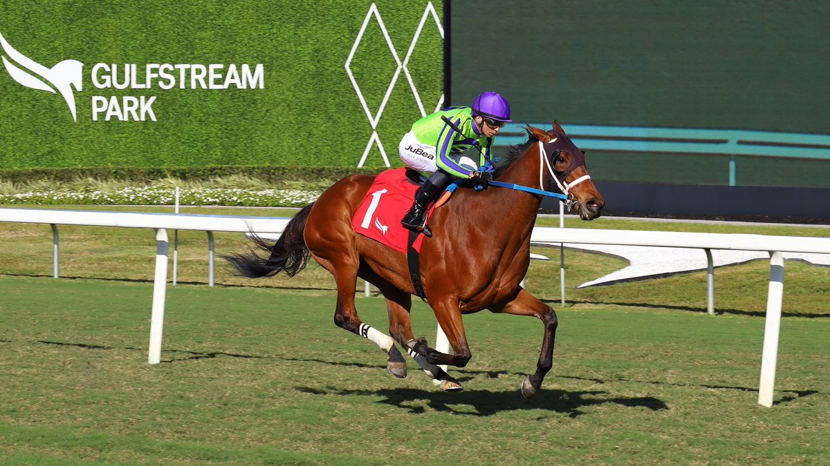 Dan Preiss tweet media