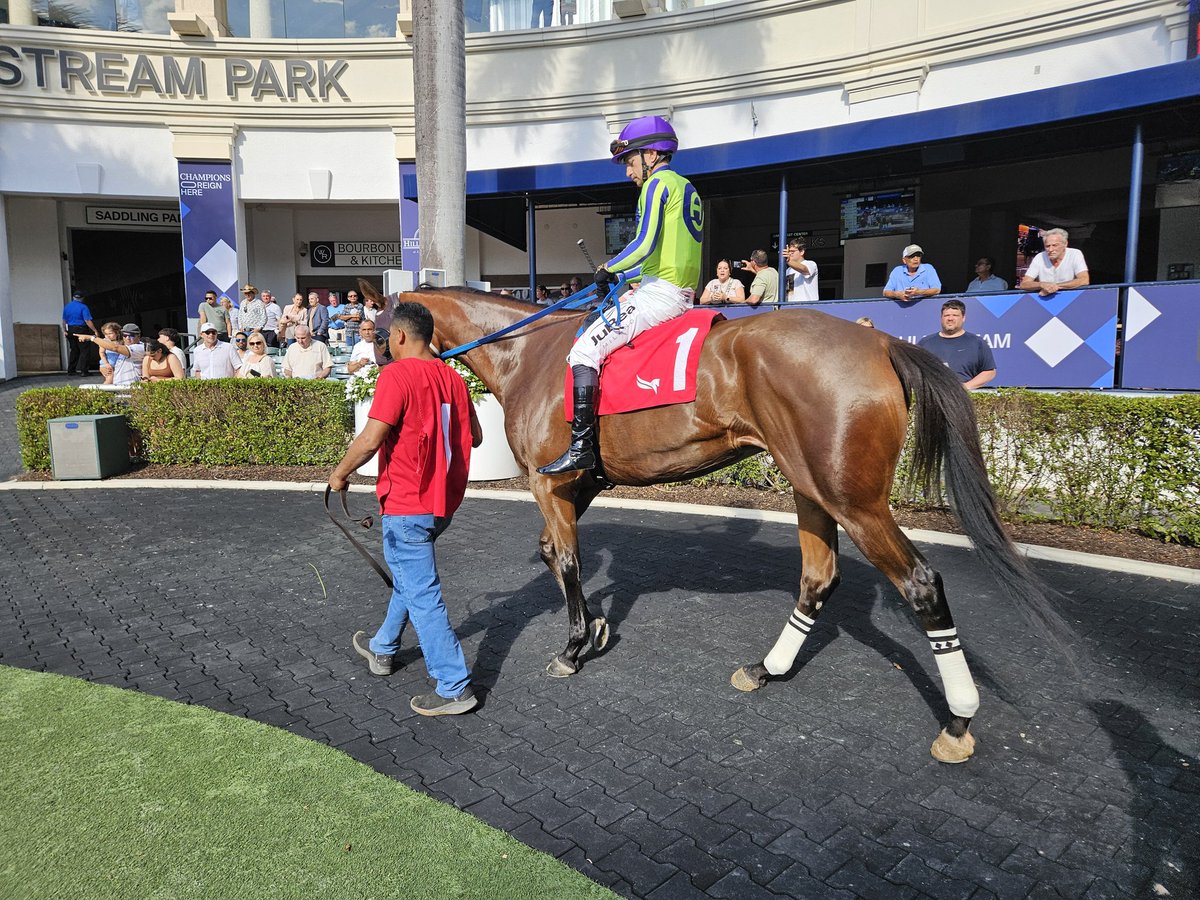 Dan Preiss tweet media