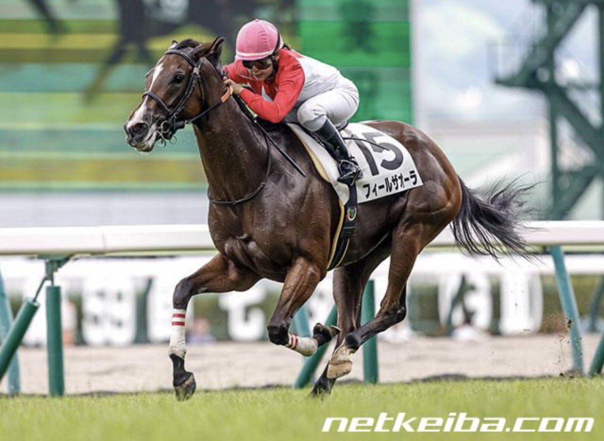 RT @fieldracing: 【🎁プレゼント企画】 フィールザオーラ出産記念