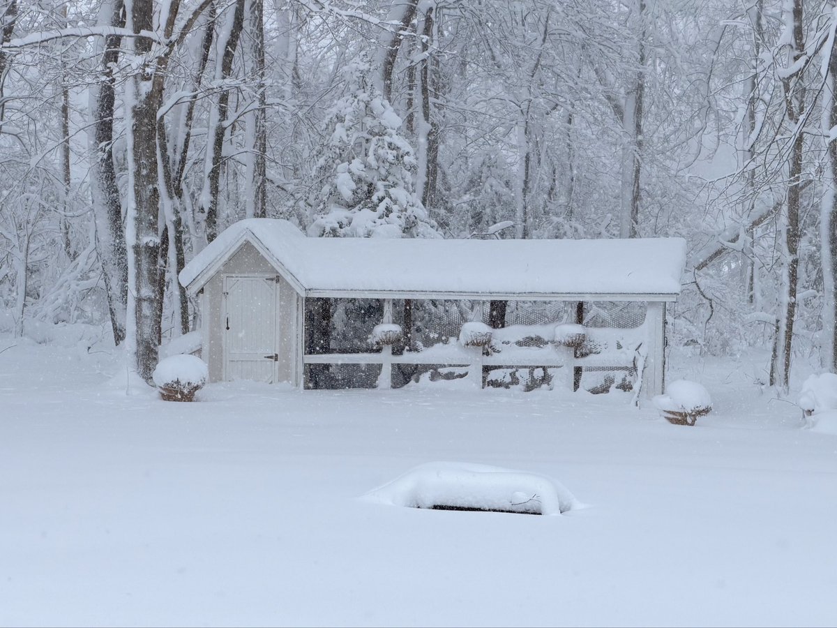 Don’t think I’ll be scooping out the poop this morning.