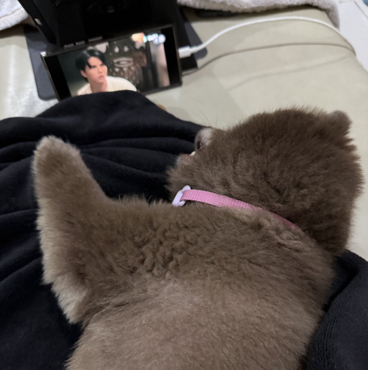 ผมก็ดูอยู่นะฮับ 🐶

YESTERDAY THE TRUTH
 #YesterdayEP4