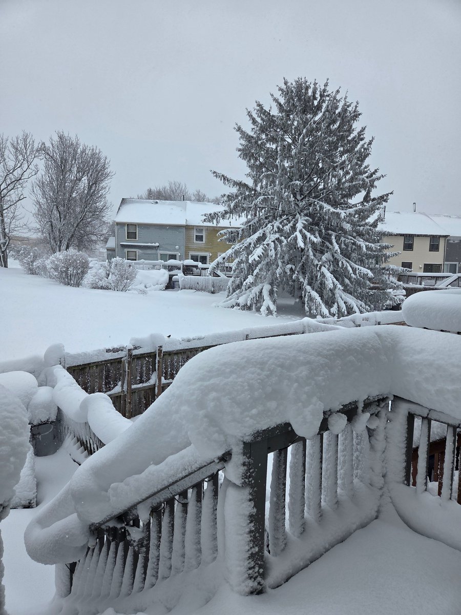 ThisIsNotZain's tweet image. Just a few inches #winterstorm