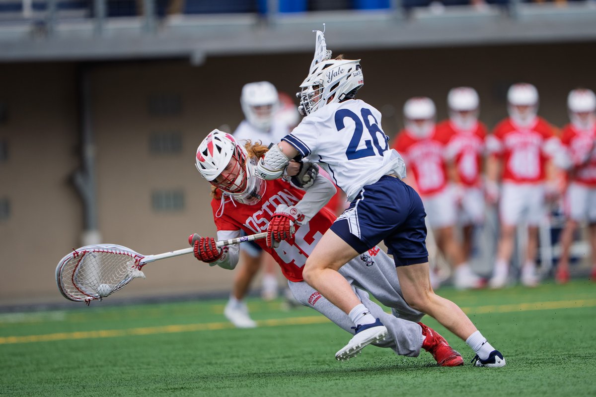 David Schamis tweet media