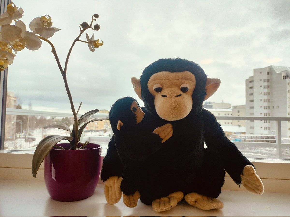 Rupak690's tweet photo. @maariaprv Thankfully ours are together ❤️ https://t.co/oUo2nHYEHU