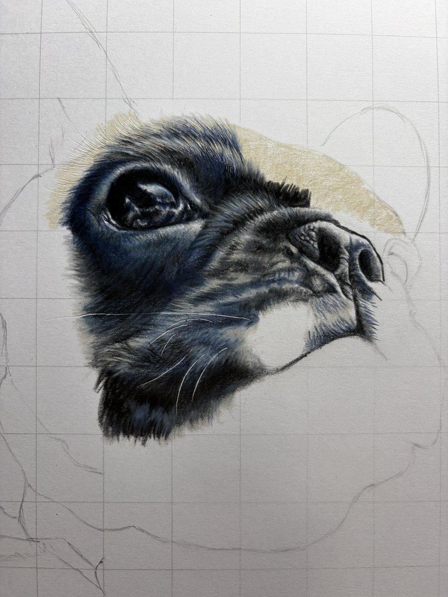 Post by ひーさん｜色鉛筆画✏️ on X: 今日はここまで！