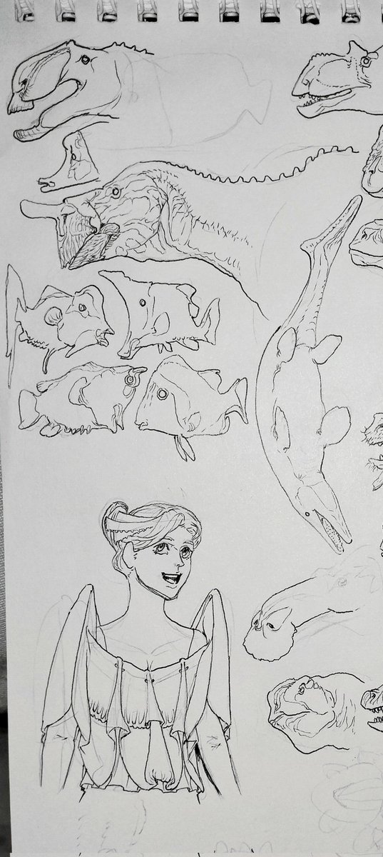 ᴀᴋɴᴍ🎨 tweet media