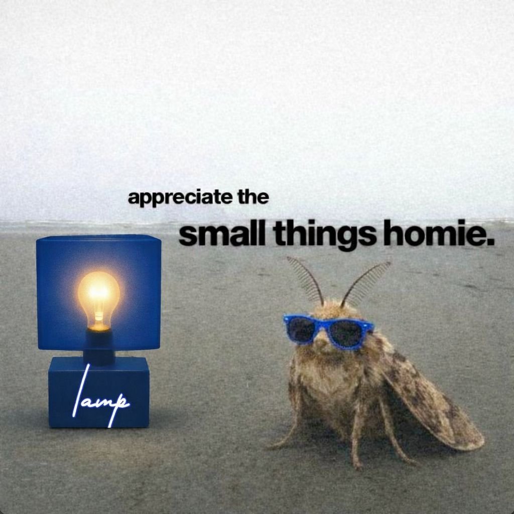 MöthPucker💡 tweet media