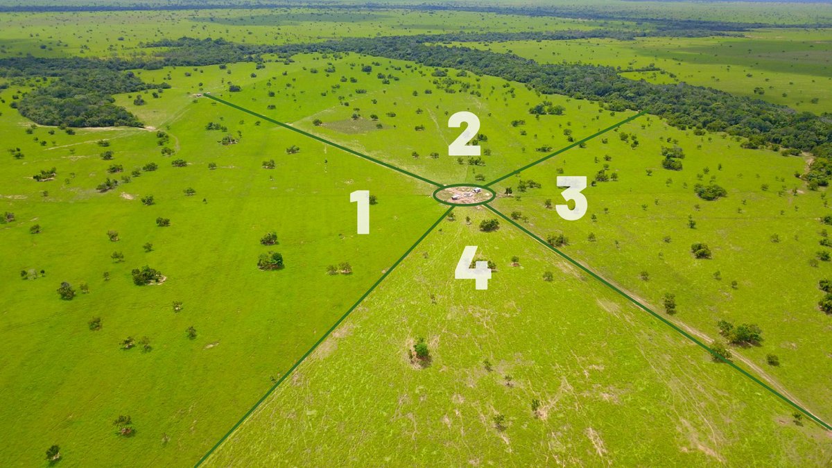 Jacobo Arango tweet media