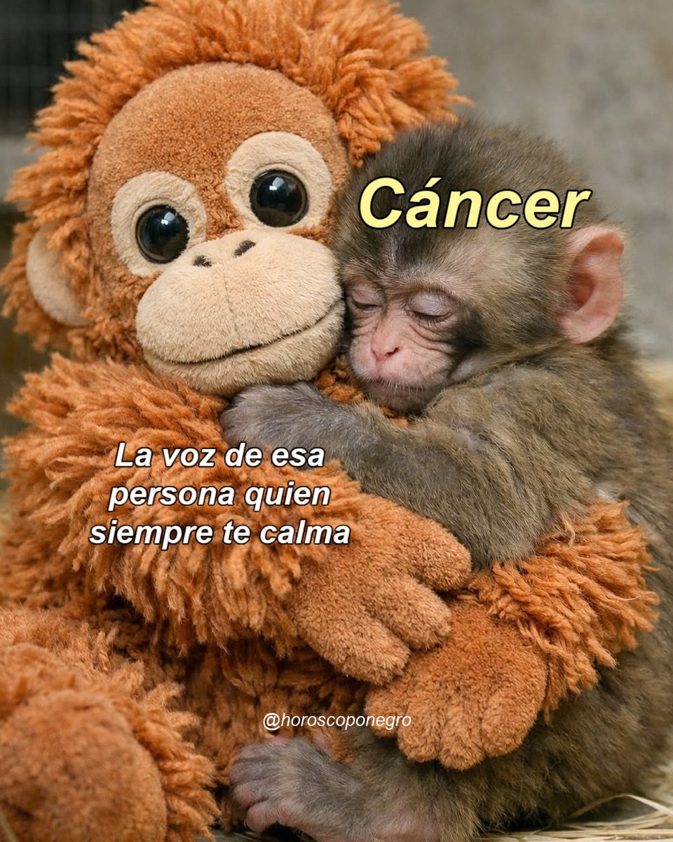 Todos tenemos un lugar seguro ❤️‍🩹
