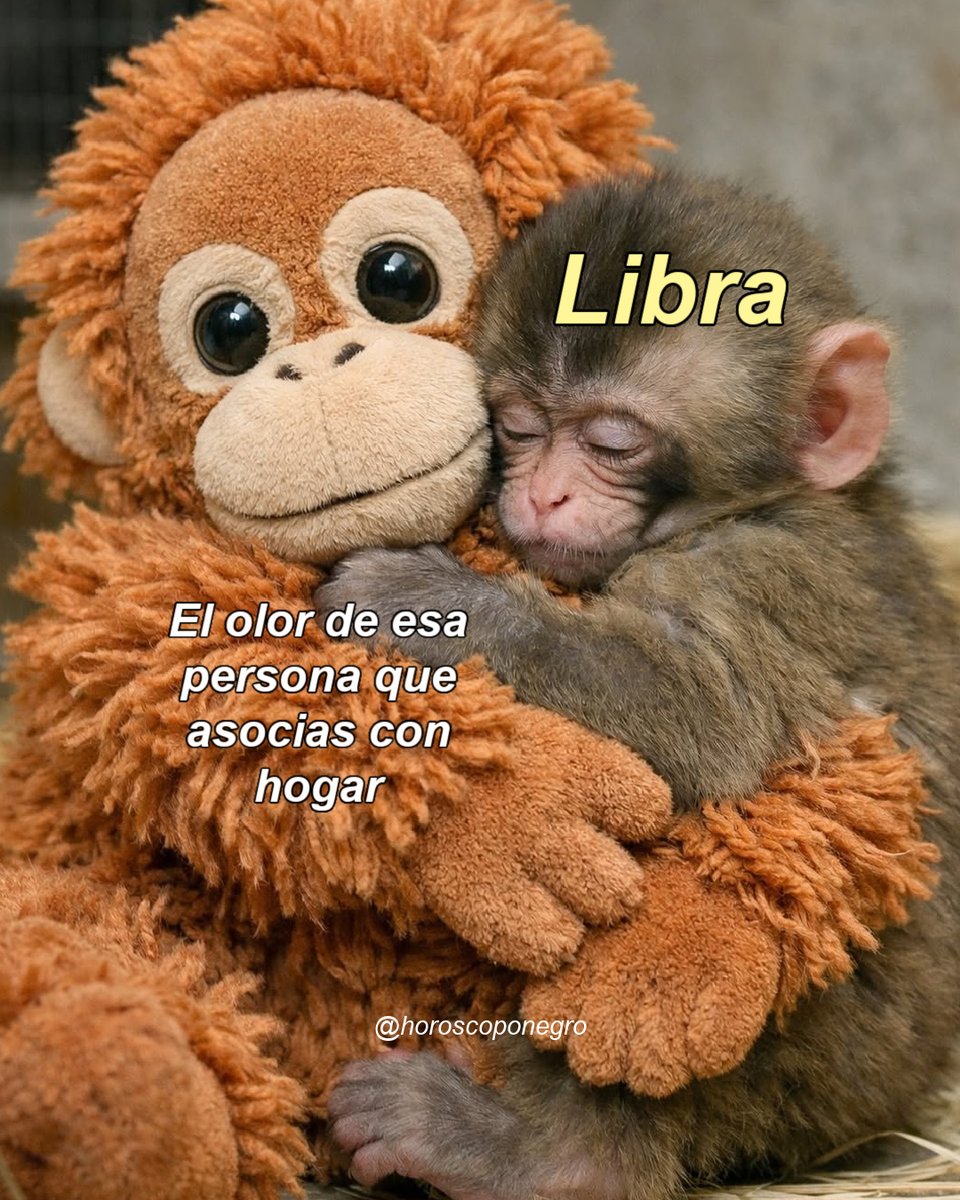 ▲LIBRA▲ tweet media