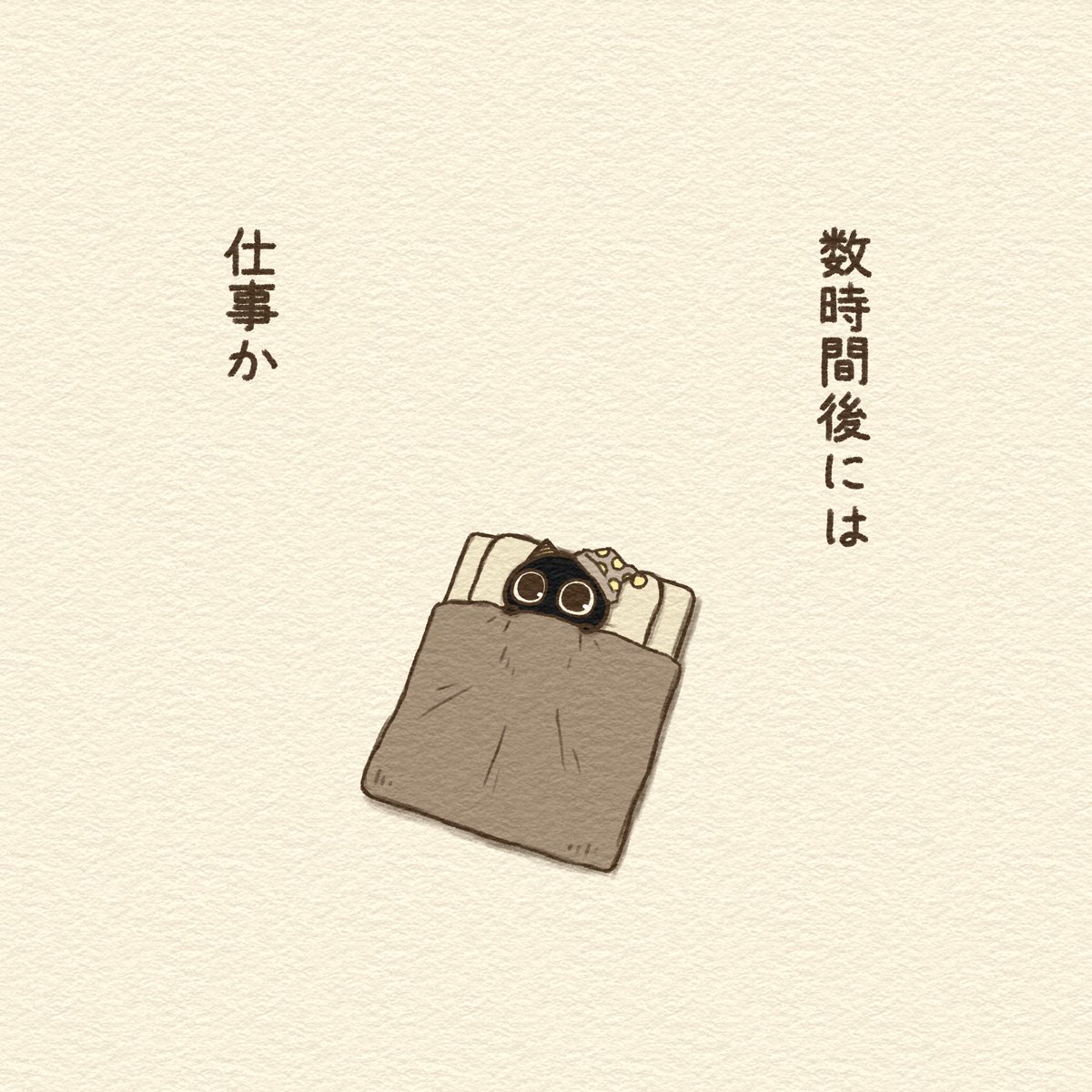 はっちゃん(Hachi) (@hachi16) / Posts / X