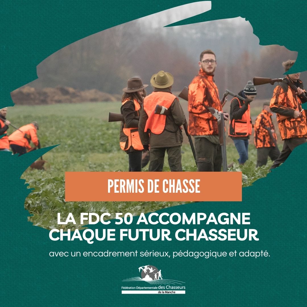 FdcManche's tweet photo. 🎓 Permis de chasser : la FDC50 vous accompagne

Envie de passer votre permis ?
👉 Formation, conseils et accompagnement avec la FDC50.
Examen organisé par l’OFB : https://t.co/PxH8NMiguE

❓ Et vous, quel score aviez-vous à l’examen ?

#FDC50 #PermisDeChasser #PassionChasse https://t.co/lIkh2LWLCz