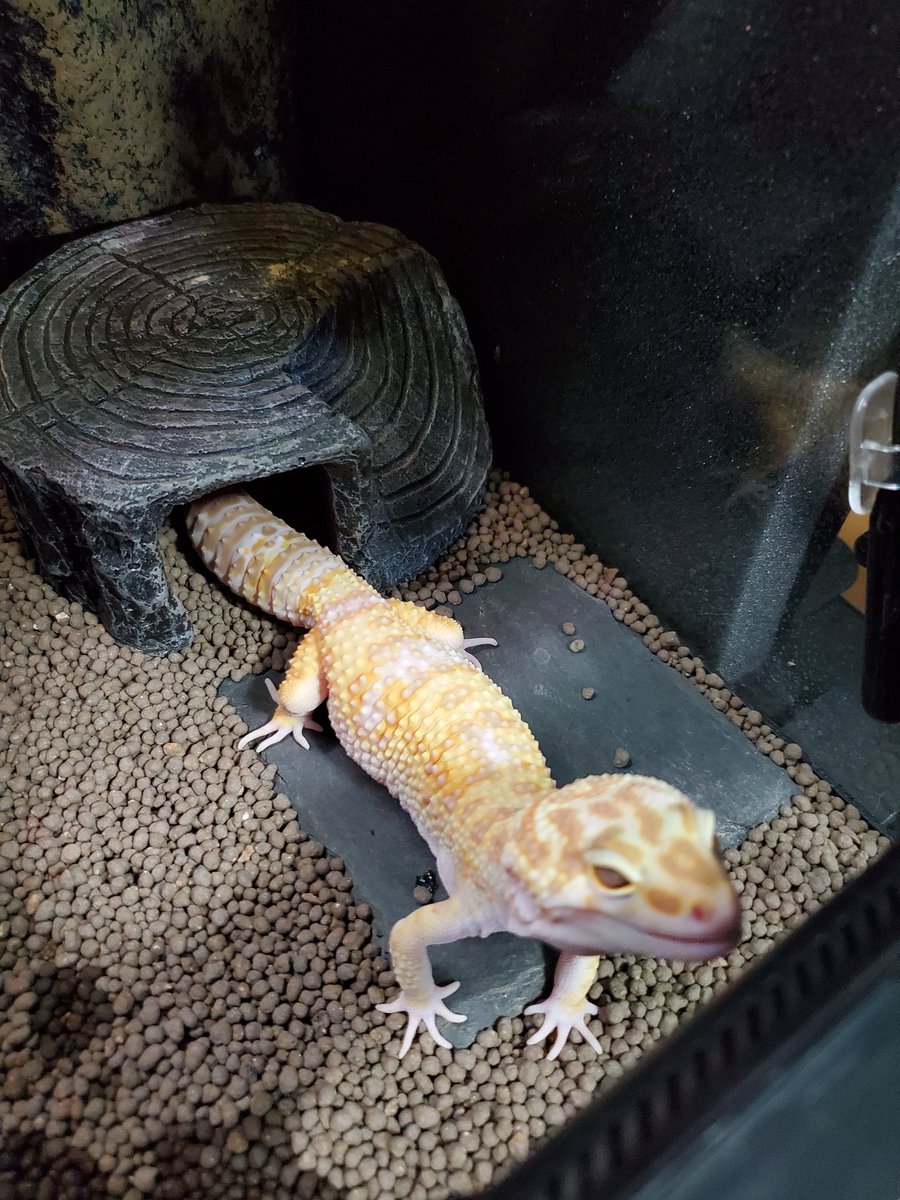 ヒナタ tweet media